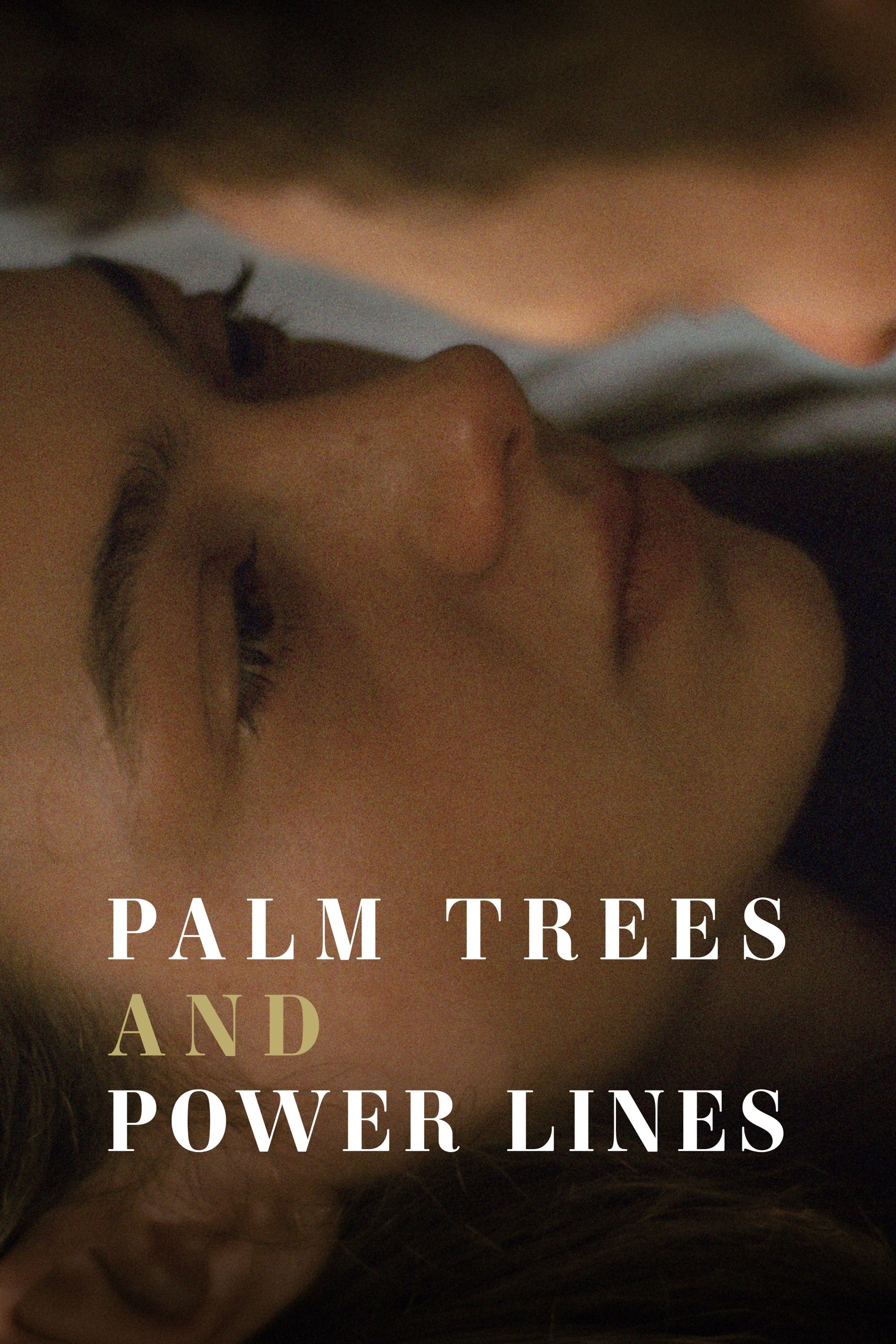 Palm Trees and Power Lines Hindi Dubbed Movie Poster (2022)